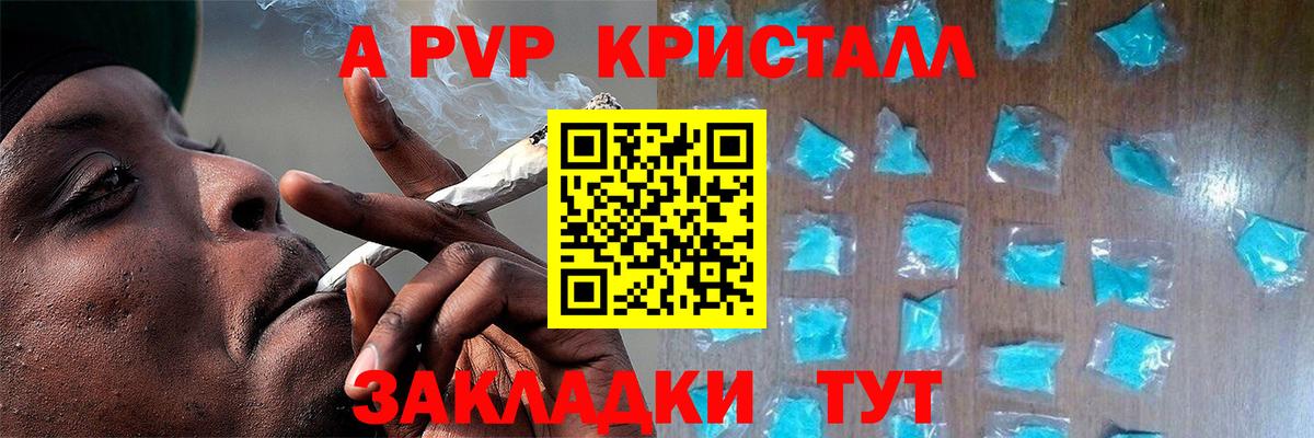 дарнет шоп  Вход с VPN  Дзержинск  Alfa_PVP СК 
