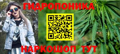 гашик Берёзовский