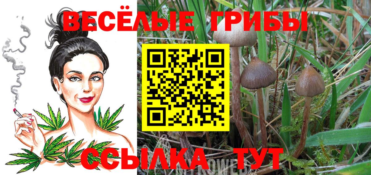 Дзержинск  Галлюциногенные грибы мицелий  купить  цена  Вход с VPN 